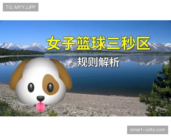 篮球三秒区规则：深度解析其作用与判定细节