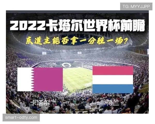 世界杯E组全方位前瞻分析
